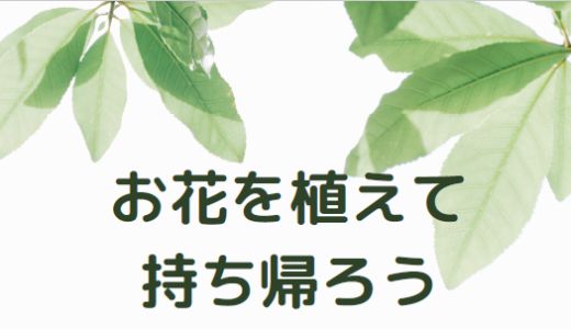 お花を植えて持ち帰ろう(6/30 10:30～)のお知らせ